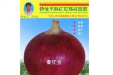 2012年早熟包装袋
