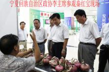 宁夏平罗种子展销会现场