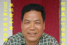 2014年秦红宝在河南省的长势表现 紫皮洋葱