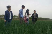 2014罗总在秦红宝种植基地给西北农林科技大学学生讲解洋葱种植技术与植物特性