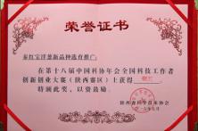 秦红宝洋葱在第十八届中国科技大赛中荣获铜奖