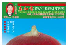 2014年洋葱种子中晚熟包装袋