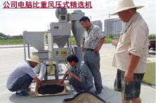 秦红宝洋葱种子精选过程 优质洋葱种子