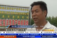 科技示范助推小洋葱做成大产业