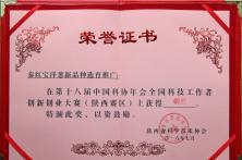 第十八届中国科协年会全国科技工作者创新创业陕西赛区铜奖