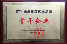 热烈祝贺杨凌秦红宝洋葱种业科技有限公司荣获杨凌果蔬品牌骨干企业
