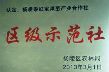 杨凌秦红宝洋葱产业合作社评为“区级示范社”