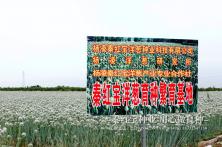 2018年陕西杨凌秦红宝育种基地