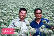 2018年陕西杨凌秦红宝育种基地