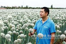 2018年陕西杨凌秦红宝育种基地