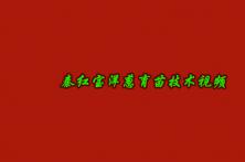 杨凌秦红宝育苗技术方法视频